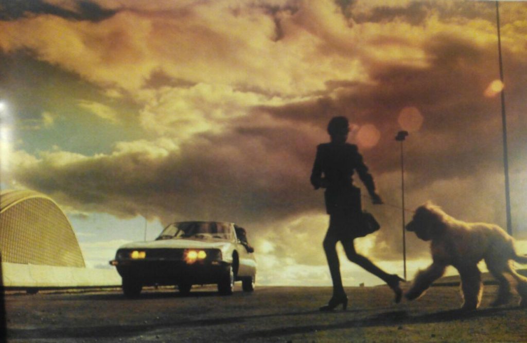 Dieses Bild hat ein leeres Alt-Attribut. Der Dateiname ist SM_hunde-1-1024x668.jpeg